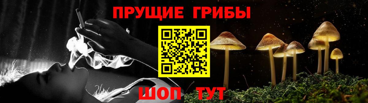 Псилоцибиновые грибы Cubensis Урус-Мартан